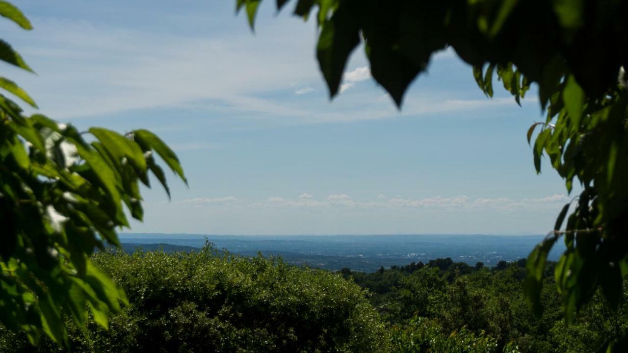 Les Cerisiers De Stella Villa Blauvac Luaran gambar